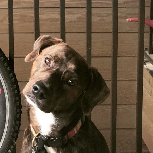 Meet your Posher, Zach - Picture 1 of 1